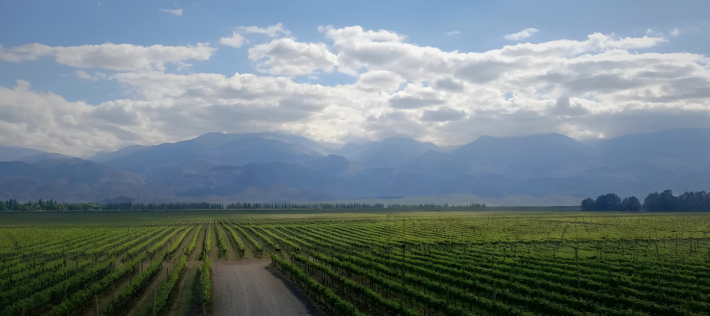 Monitoreo de Cultivos